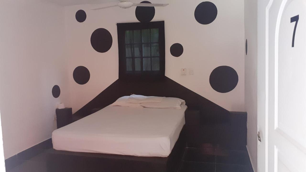 Punto4 Albergue Punta Cana